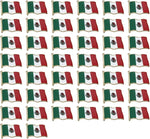 Load image into Gallery viewer, Mexico Flag Enamel Pin For Patriotic & Ceremonial Souvenir