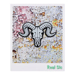 Load image into Gallery viewer, Ram Skull Pin - Occult / Baphomet Enamel Pin