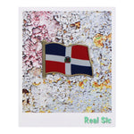 Load image into Gallery viewer, Dominican Republic Flag Enamel Pin For Patriotic & Ceremonial Souvenir