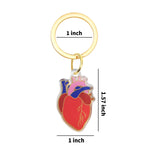 Load image into Gallery viewer, Anatomical Heart Keychain - Valentine's, Hospital, Nurse, Heart Acrylic Keychain