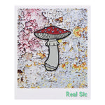 Load image into Gallery viewer, Mushroom Pin - Amanita Muscaria Enamel lapel Pin Shroom Pins