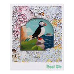 Load image into Gallery viewer, Puffin On Rocks Enamel Pin Badge By Real Sic - Muffin Hard Enamel Pin