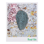 Load image into Gallery viewer, Oyster Shell Pin Badge By Real Sic - Coastal Decor, Mother's Day Gift, Oyster Pin Badge