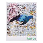 Load image into Gallery viewer, Ocean Sea Turtle Enamel Pin - Marine Life, Nautical Pins