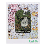 Load image into Gallery viewer, Cuyahoga Valley National Park Traveler Pin - Cleveland Brandywine Falls Souvenir Pin