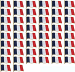 Load image into Gallery viewer, France Flag Enamel Pin For Patriotic &amp; Ceremonial Souvenir
