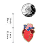 Load image into Gallery viewer, Anatomical Heart Pin - Realistic, Scientific Heart Enamel Lapel Pin for Valentine&#39;s Day