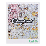 Load image into Gallery viewer, Cleveland Script Pin - Ohio Sports Souvenir Enamel Pin
