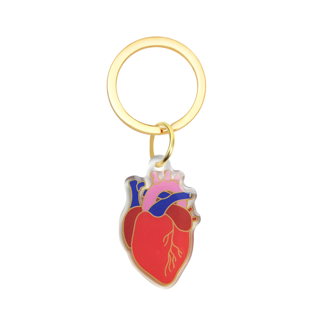 Anatomical Heart Keychain - Valentine's, Hospital, Nurse, Heart Acrylic Keychain