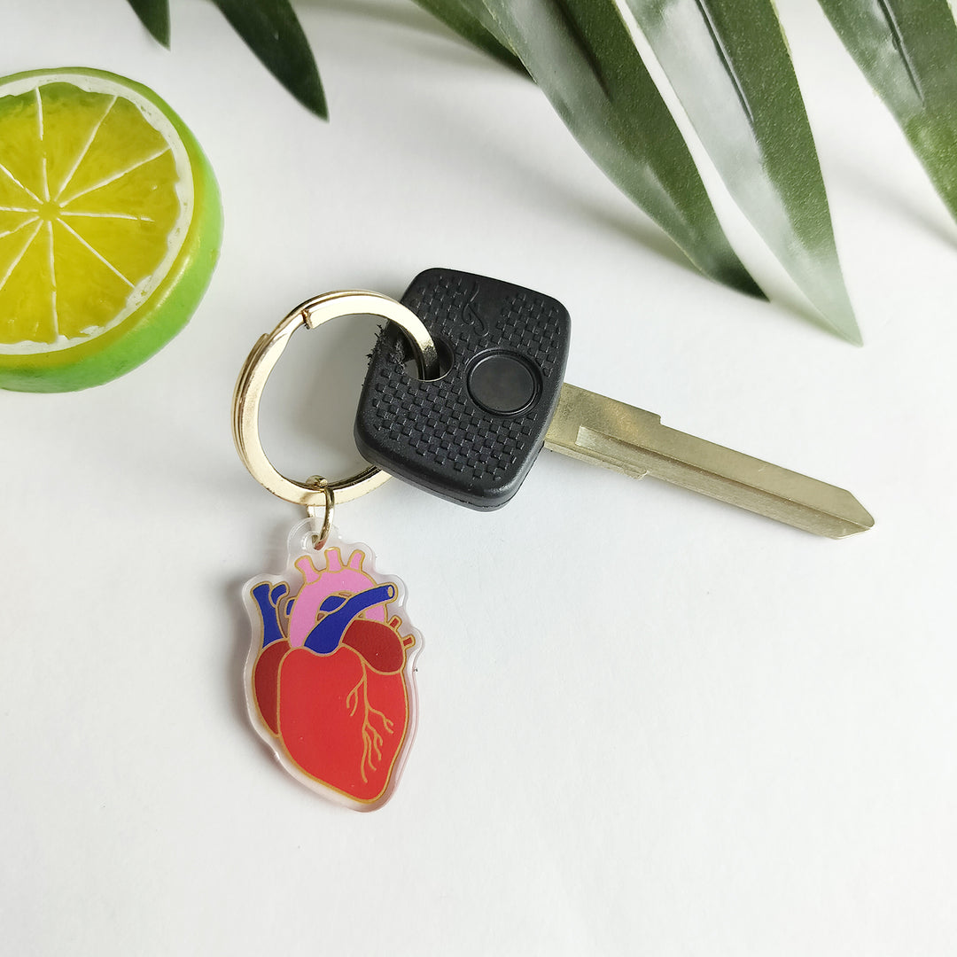 Anatomical Heart Keychain - Valentine's, Hospital, Nurse, Heart Acrylic Keychain