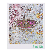 Moth Pin - Occult Luna Moth / Butterfly Enamel Pin in 4 Colors