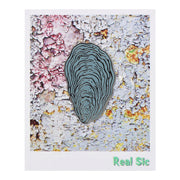 Oyster Shell Pin Badge By Real Sic - Coastal Decor, Mother's Day Gift, Oyster Pin Badge
