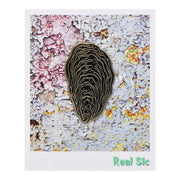 Oyster Shell Pin Badge By Real Sic - Coastal Decor, Mother's Day Gift, Oyster Pin Badge