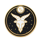 Load image into Gallery viewer, Aquarius Astrological Sign Pin - Star Sign / Astrology Enamel Pins for Birth Sign / Birthday Gift